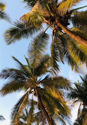 c76c0e5d77d862785f5bac933862c6caf3606ef1