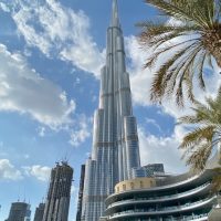 dfe786a0e58e233224ba61cdee44ccc9798f5b29